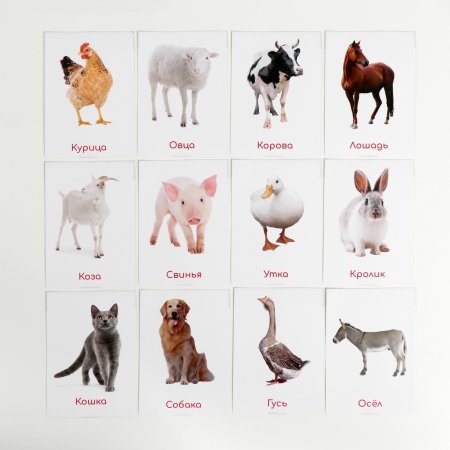 Обучающие карточки по методике Глена Домана "Домашние животные и птицы"