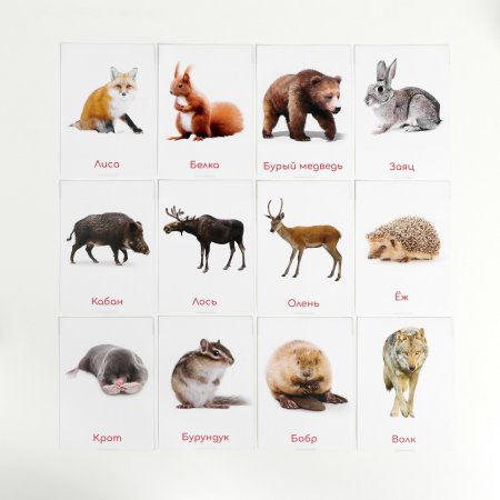 Обучающие карточки по методике Глена Домана "Дикие животные"