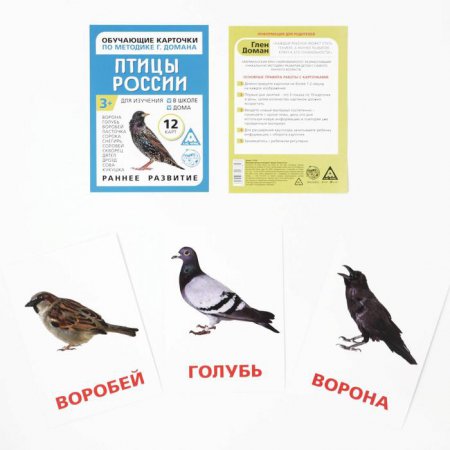 Обучающие карточки по методике Г. Домана "Птицы России", 3+
