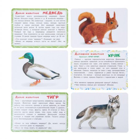 Карточки обучающие "Животные" 36 шт., 12,5 х 8,7 см